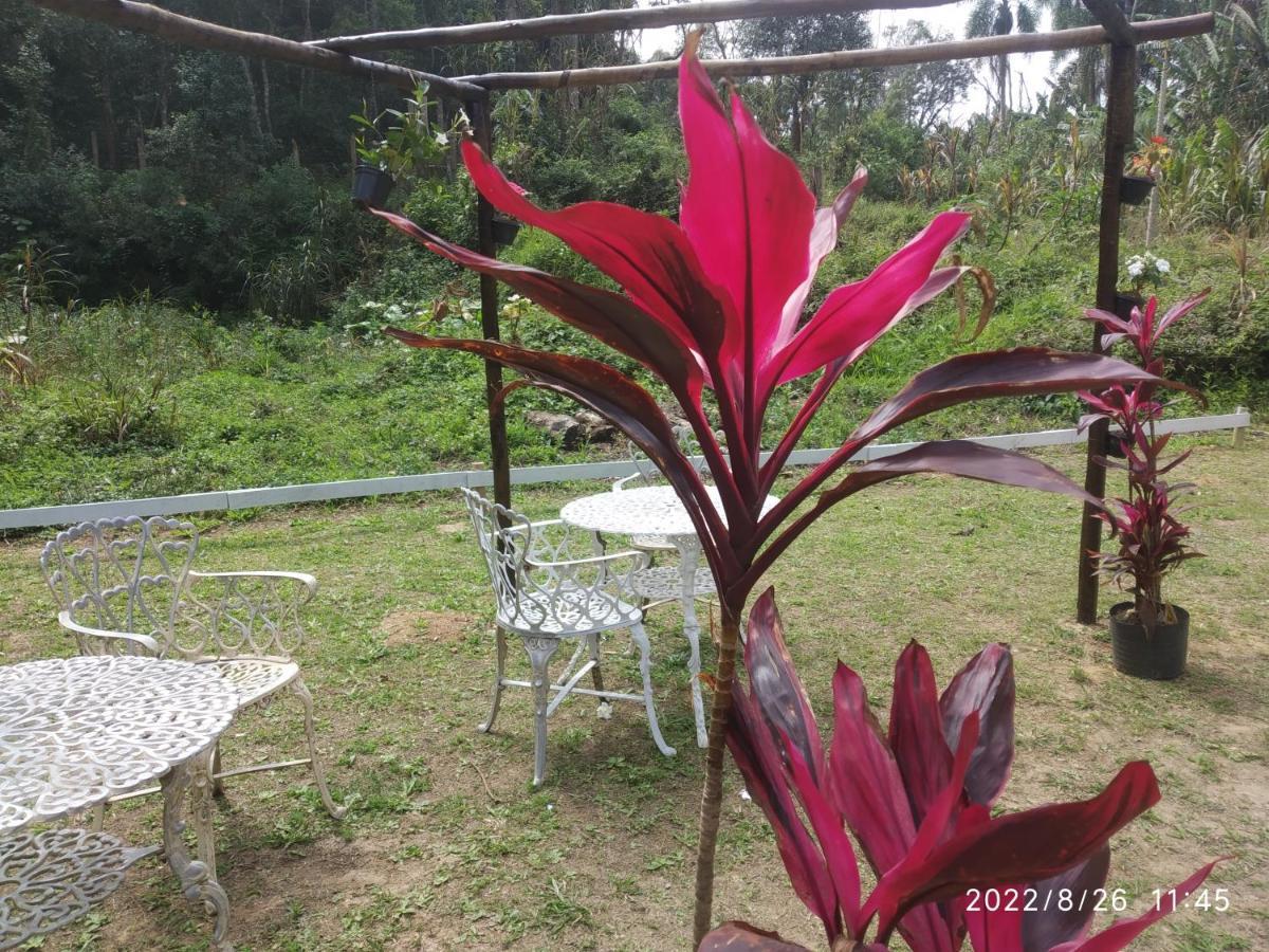 Guest house O Brejo Encantado Hospedagem E *