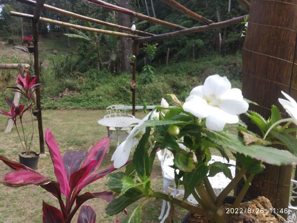 Guest house O Brejo Encantado Hospedagem E Embu